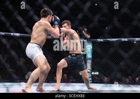 Chicago, Il, USA. August 2025. UFC 319: DU PLESSIS VS CHIMAEV - CHICAGO, IL - 16. AUGUST: (R-L) Chase Hooper versucht, Alexander Hernandez in einem leichten Kampf während des UFC 319 du Plessis vs. Chimaev Events am 16. August 2025 in Chicago, IL (Credit Image: © Justin Renfroe/ZUMA Press Wire) NUR REDAKTIONELLE VERWENDUNG! Nicht für kommerzielle ZWECKE! Stockfoto
