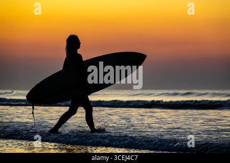 Isle Of Palms, Usa. August 2025. Eine Surferin, die von Sonnenaufgang umrahmt wird, wandert zum Wasser, um die frühen Wellen am Front Beach, 18. August 2025 in Isle of Palms, South Carolina, zu fangen. Hohe Wellen und potenzieller Sturm serge wird später in der Woche erwartet, als Hurrikan Erin, ein Sturm der Kategorie 4, vor der Küste vorbeizieht. Quelle: Richard Ellis/Richard Ellis/Alamy Live News Stockfoto