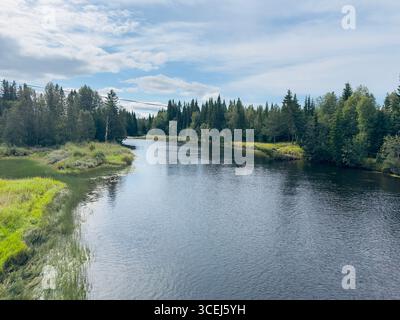Ein malerischer Blick auf einen Fluss, der sich an einem bewölkten Tag durch einen dichten, grünen Wald schlängelt. Stockfoto