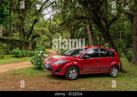 Ein roter Ford Fiesta MK5 parkt auf einer unbefestigten Stelle im grünen Wald von Monte Verde mit Hortensien und hohen Bäumen am Untersommermorgen. Stockfoto