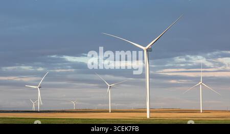 Windturbinengeneratoren für die nachhaltige Stromerzeugung. Panoramablick auf Windmühlen in einer ländlichen Gegend bei Sonnenuntergang. Nachhaltig , erneuern Stockfoto