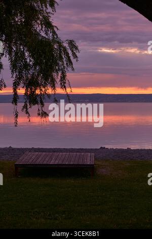 Eine hölzerne Sonnenliege unter einem Weidenbaum am grünen Seeufer, die in einem atemberaubenden violetten Sonnenuntergang glüht. Ruhiges Wasser reflektiert den magischen Himmel. Stockfoto