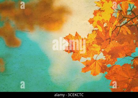 Herbstlaub über Vintage-Hintergrund. Perfekte Grunge-Herbst-Textur. Stockfoto