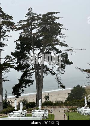 Elegante Hochzeits- und Veranstaltungseinrichtung im Freien mit weißen Tischen, Stühlen und Sonnenschirmen auf einem Rasen mit Blick auf den Pazifischen Ozean an einem nebeligen Tag Stockfoto