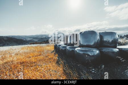 Malerische ländliche Landschaft mit großen schwarzen, mit Plastik umwickelten Heuballen, die in einem goldenen Feld gestapelt sind, Berge und Wald im Hintergrund unter der hellen Sonne A Stockfoto