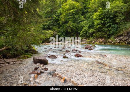 Kristallklares Wasser fließt durch die Slizza-Schlucht in der Nähe von Tarvisio, Nordost-Italien, umgeben von grünem Laub und felsigen Ufern Stockfoto