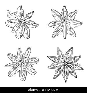 Set, Clipart der monochromen botanischen duftenden Gewürzzeichnung der Sternanispflanze isoliert auf weißem Hintergrund. Grafischer Tintenvektor Stock Vektor
