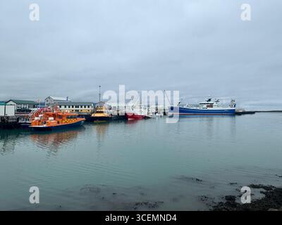 Hofn, isländischer Hafen Stockfoto