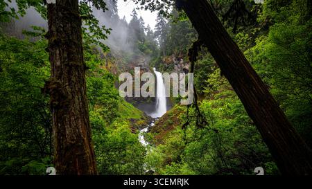 Malerischer Wasserfall im grünen Regenwald Stockfoto