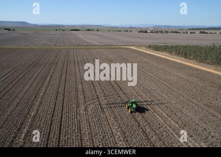 Traktor sprüht ein Feld auf der liverpool Plains nsw australien Stockfoto