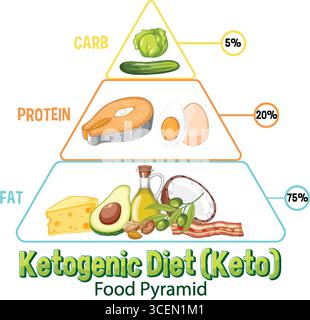 Vector illustration of a ketogenic diet pyramid highlighting fat, protein, and carb proportions with vibrant colors Stock Vektor
