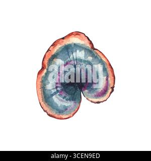 Botanische Illustration von Herbstpflanzen in Aquarellfarben Stockfoto