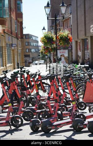 Reihe von Elektrorollern, die während des Sonnentages auf der Urban Street geparkt wurden. Oxford, England Stockfoto