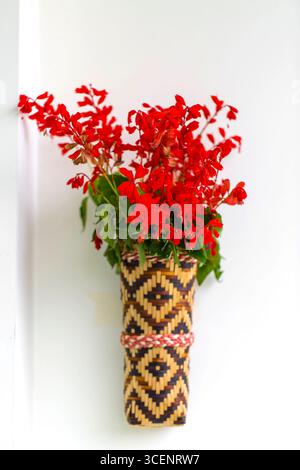 Bambusblumenvase mit roten Fliederblüten, die an der weißen Wand hängen. Isolierter Hintergrund. Stockfoto