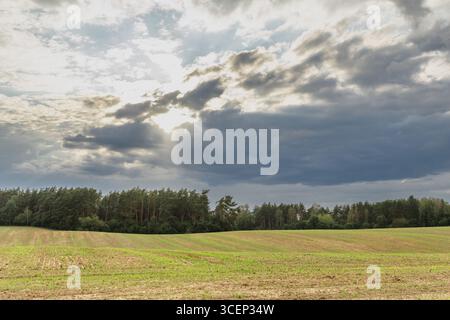Ein rollendes, frisch geerntetes Weizenfeld unter einem dramatischen bewölkten Himmel, das ländliche Ackerland mit goldenen Pflanzen und stimmungsvollen Wolken zeigt. Stockfoto