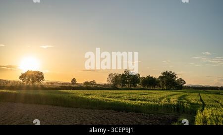 Tuscany, Italien - 24. April 2025: Blick auf goldenes Sonnenlicht, das die sanften Hügel umspült und lange Schatten über die grünen Felder und die rustikale Landschaft wirft. Stockfoto