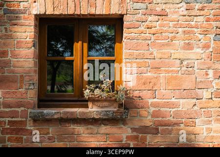 Tuscany, Italien - 23. April 2025: Blick auf eine rustikale Backsteinmauer mit einem Holzfenster, das die Außenwelt reflektiert, einen kleinen Blumentopf auf der Fensterbank. Stockfoto