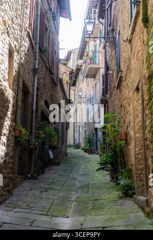 Cortona, Toskana, Italien - 24. April 2025: Blick auf einen schmalen Weg, der von verwitterten Steinhäusern gesäumt ist, mit lebhaften grünen Pflanzen und rustikalen Holzläden geschmückt ist. Stockfoto