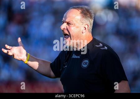Odense, Dänemark. August 2025. Cheftrainer Alexander Zorniger von Odense BK, der während des 3F Superliga-Spiels zwischen Odense BK und Aarhus GF im Nature Energy Park in Odense zu sehen war. Quelle: Gonzales Photo/Alamy Live News Stockfoto
