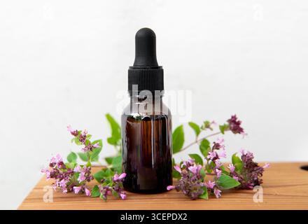 Hausgemachte pflanzliche Heiltinktur aus Oregano, Origanum vulgare. Frische Pflanzenblüten neben brauner Glasflasche, weißer Hintergrund drinnen. Stockfoto