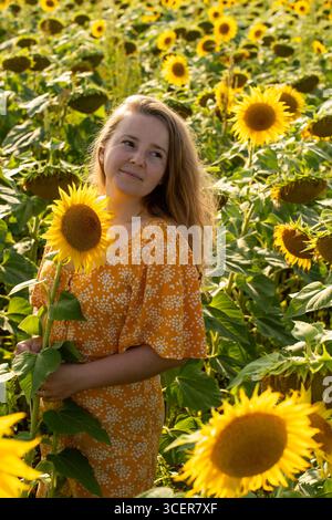 Junge Gärtnerin in orangenem Kleid, die Sonnenblumen auf dem landwirtschaftlichen Feld für die Ölernte untersucht. Konzept der nachhaltigen Landwirtschaft, ökologisch Stockfoto