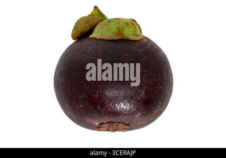 Frische Mangostan-Früchte isoliert auf weißem Hintergrund Stockfoto