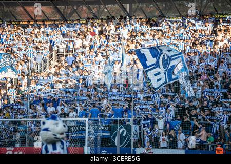 Odense, Dänemark. August 2025. Fußballfans von ob auf den Tribünen beim 3F Superliga-Spiel zwischen Odense BK und Aarhus GF im Nature Energy Park in Odense. Stockfoto