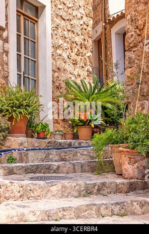 Idyllischer Hauseingang mit grünen Pflanzen in Blumentöpfen auf der Treppe Stockfoto