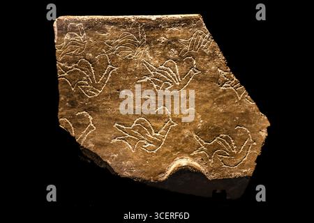 Fragmente von Keramikgefäßen, Museum am megalithischen Ggantija-Tempel, etwa 5600 Jahre alt, eines der ältesten teilweise erhaltenen Gebäude im W Stockfoto