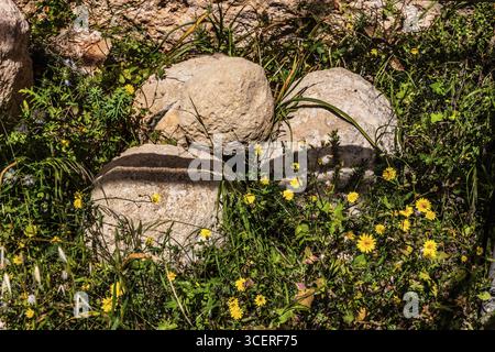 Der megalithische Ggantija-Tempel, etwa 5600 Jahre alt, besteht aus zwei angrenzenden Tempeln und gehört zu den ältesten noch heute Stockfoto
