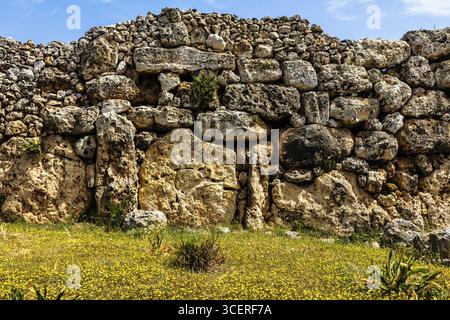 Der megalithische Ggantija-Tempel, etwa 5600 Jahre alt, besteht aus zwei aneinander angrenzenden Tempeln, fünf Apsiden, die wie Ahornblätter angeordnet sind, einer der ältesten Parolen Stockfoto
