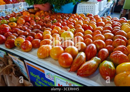Auswahl an Tomaten zum Verkauf auf dem North Carolina State Farmer’s Market, Raleigh. Stockfoto