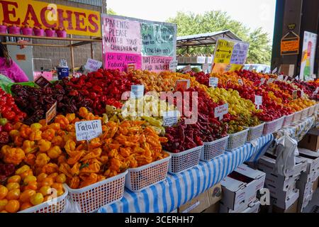 Farbenfrohe Paprika auf dem North Carolina State Farmer’s Market in Raleigh. Stockfoto