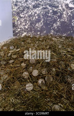Ein eindringlicher Brillenhügel, der im Lager Auschwitz-Birkenau gefunden wurde, eine mächtige und symbolische Sammlung der Habseligkeiten derer, die dort ums Leben kamen. Stockfoto