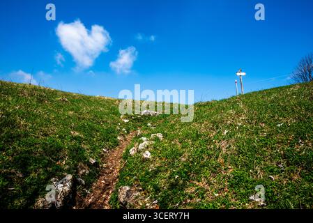 Schmaler Feldweg, der einen grasbewachsenen Hügel unter einem leuchtend blauen Himmel mit einer herzförmigen Wolke und Wegweisern hinaufführt. Helle, aufbauende Szene in der Natur Perf Stockfoto