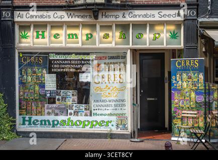 Amsterdam, Niederlande, 07.08.2025, Außenansicht des Hanf Shopper Store, Cannabis Seed Bank, CBD Dispensary und Hanf Shop im Zentrum von Amsterdam Stockfoto