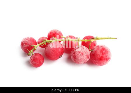Rote gefrorene Johannisbeeren isoliert auf weiß Stockfoto