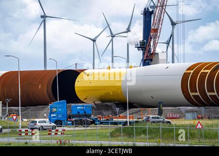 Der Seehafen Eemshaven, Julianahaven Basin, wo die Fundamentstrukturen, Monopiles, für Offshore-Windparks gelagert werden. Diese werden dann unterstützen Stockfoto