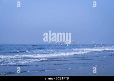 Ruhiges Varca, Goa, Küste mit Wellen, fliegende Möwen und ein Fischerboot am Horizont unter einem klaren blauen Himmel, eine friedliche Küstenlandschaft. Stockfoto