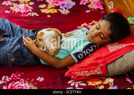 Unschuldiges Kind ruht sich mit Hauskatze auf leuchtend rotem Bettüberwurf drinnen Stockfoto