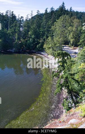 Wildkatze Cove, Larrabee State Park, 245 Chuckanut Drive, Bellingham, Whatcom County, Washington, USA Stockfoto