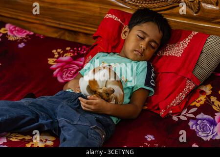 Ein ruhiger Junge schläft und hält eine gekräuselte, weiße Katze auf einem hellroten Kissen drinnen Stockfoto