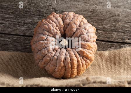 Herbsternte Stillleben mit schwarzem Futsu Winterkürbis auf Hessisch Stockfoto
