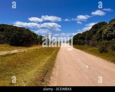 Ländliche Feldstraße, die sich durch die Landschaft mit grünen Bäumen und blauem Himmel erstreckt. Stockfoto