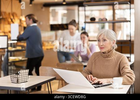 Porträt einer fokussierten, reifen Frau, die auf einem Notebook im Internet surft, während sie in der Cafeteria Tee oder Kaffee trinkt Stockfoto