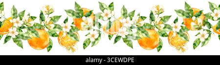 Aquarellflorale Grenze mit grünen Zitrusblättern und zarten weißen Blüten auf weißem Hintergrund. Helles dekoratives Design in handbemalter künstlerischer Stange Stockfoto