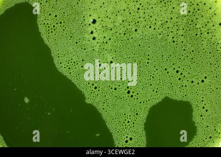 Micro Bubble Matcha nach dem Rühren mit Chasen. Oberfläche des heißen Matcha-Grüntees, voller Rahmen der Blasen aus der japanischen Zeremonie Matcha-Klasse. Stockfoto