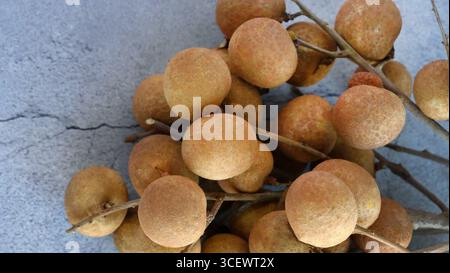 Ein Haufen frischer reifer Dimocarpus Longans mit Zweigen, süße Früchte isoliert auf Betonboden Hintergrund, Platz für Text Stockfoto