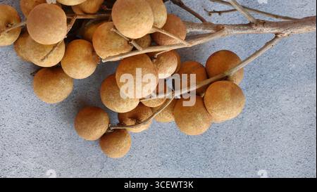 Ein Haufen frischer reifer Dimocarpus Longans mit Zweigen, süße Früchte isoliert auf Betonboden Hintergrund, Platz für Text Stockfoto