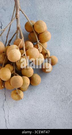 Ein Haufen frischer reifer Dimocarpus Longans mit Zweigen, süße Früchte isoliert auf Betonboden Hintergrund, Platz für Text Stockfoto